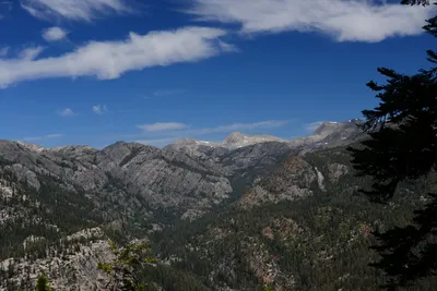 DSC_9963 (Large).JPG